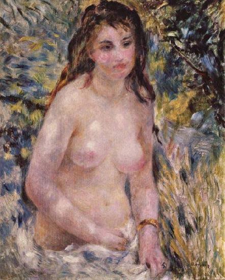 Pierre-Auguste Renoir Nude In The Sun, France oil painting art